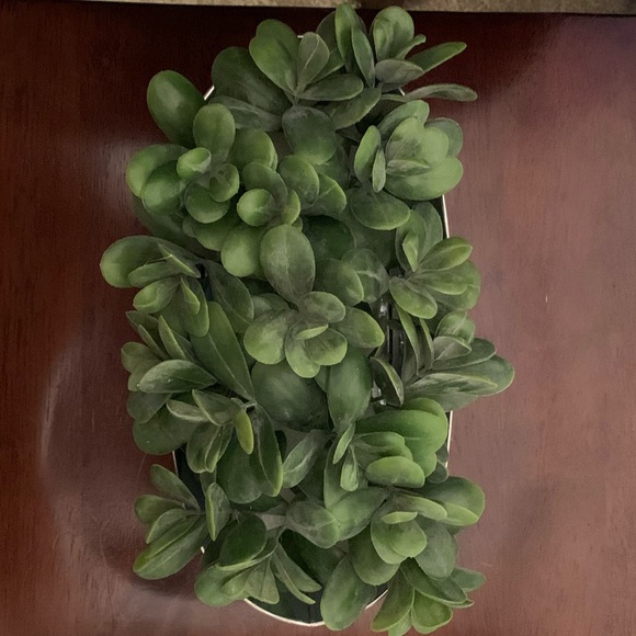 2 Farmhouse Planters💥 - Picture 5 of 7